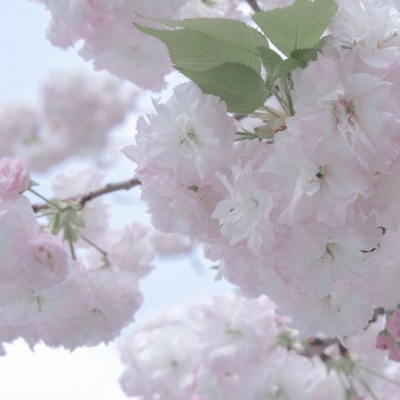 Furry绘画细节灵感兽圈社群